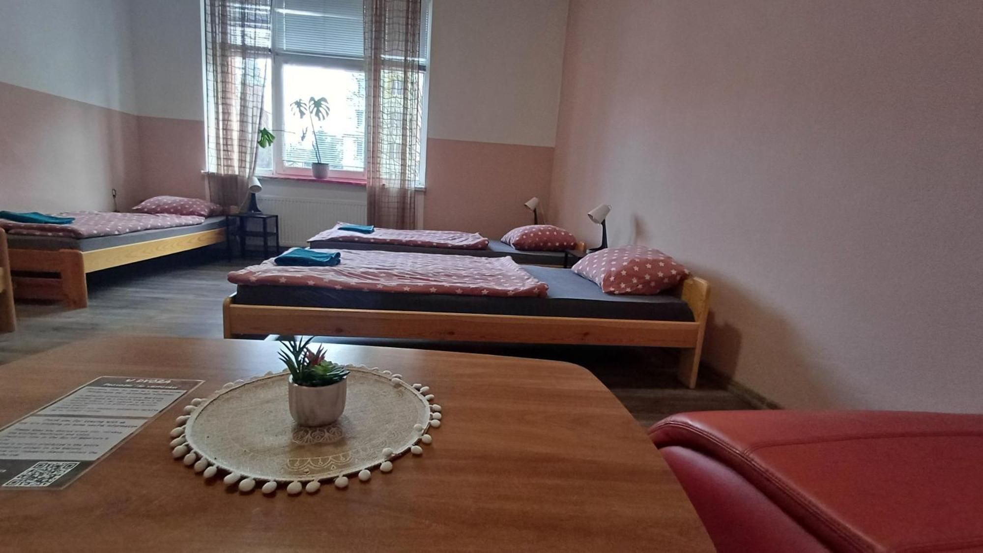 Ubytovani U Dvora Bohumín 外观 照片